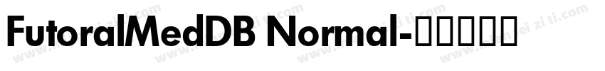 FutoralMedDB Normal字体转换